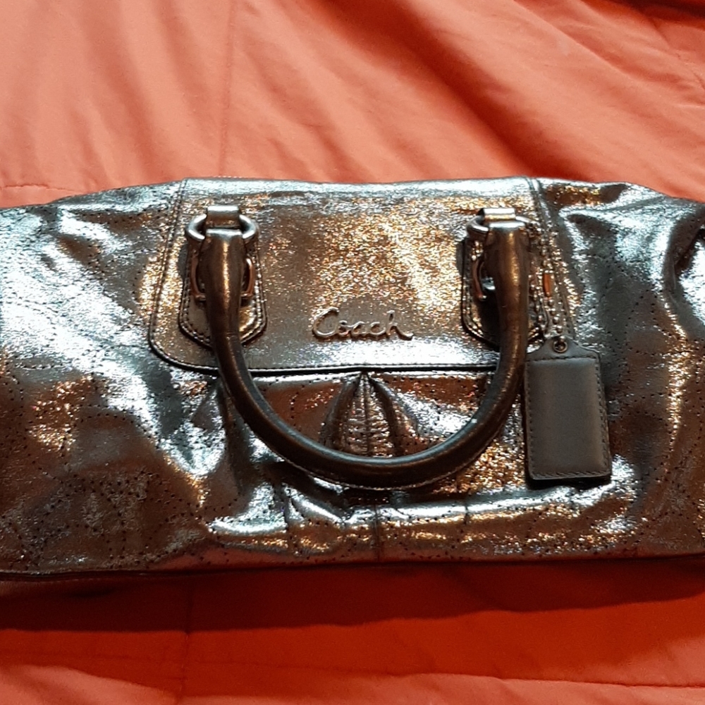 Metallic coach bag